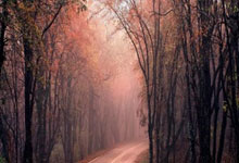 mba联考答案模板简单又好看免费,mba联考视频