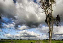 mba联考费用,mba联考各科时间分配