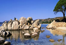 mba联考答案要求多少字左右正常考试,mba联考答案要求多少字左右正常考试呢